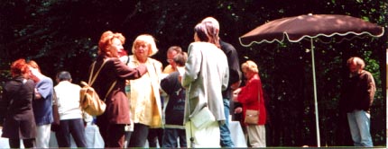 auf dem Weg zur Lichtung ...